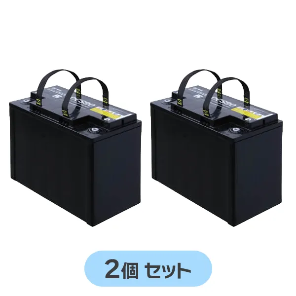 DCS90 【2個セット】 GSユアサ メーカー純正品 新品 12V90Ah/5時間率 スイーパー/スクラバー専用 ナットインサート GS YUASA 【メーカー直送】【代引不可】